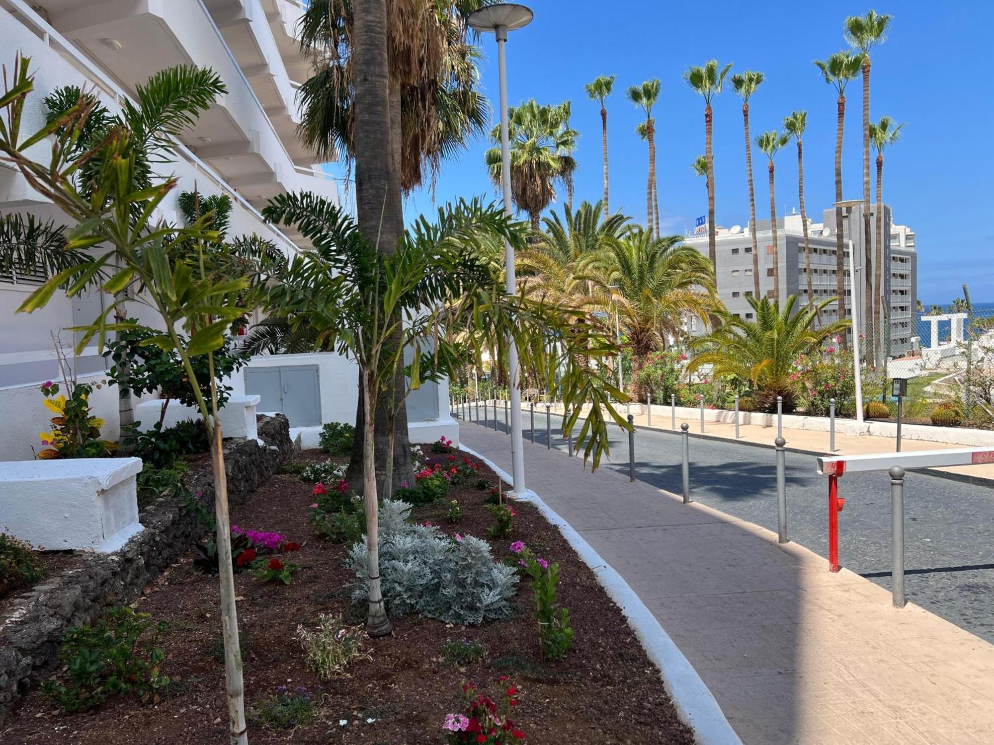 Tenerife Sea View 216 Playa Fanabe Exterior photo